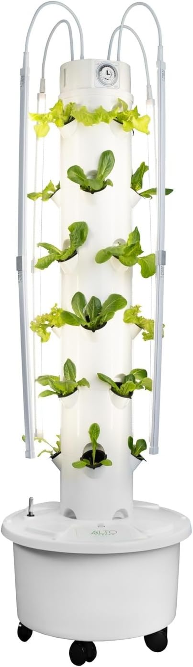Compact vertical hydroponic growing system with young greens
