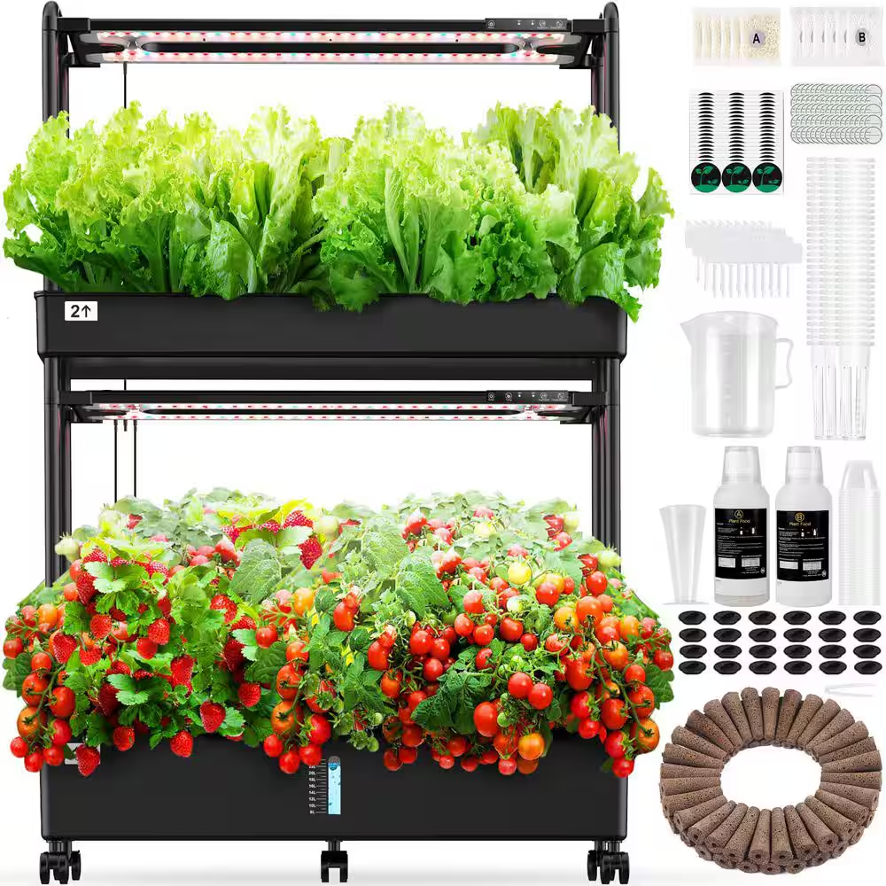 Small countertop garden with fresh green plants